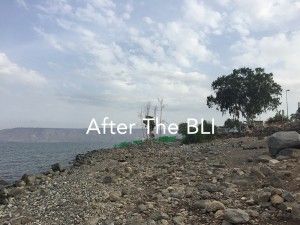 After-Litter-Pick-Up